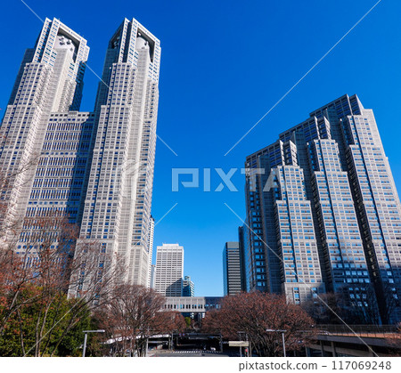 藍天高聳的東京都廳舍（東京都新宿區） 117069248