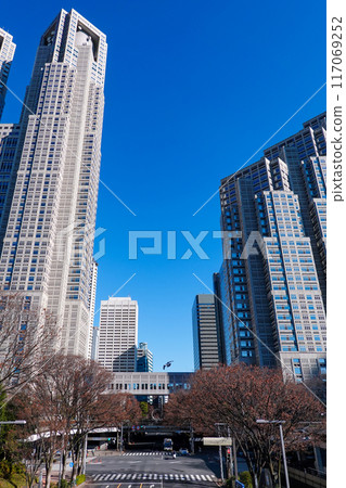 藍天高聳的東京都廳舍(東京都新宿區) 藍天高聳的東京都廳舍(東京都新宿區) 117069252