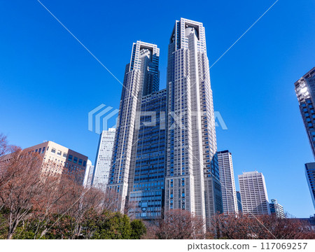 Tokyo Metropolitan Government Building towering against the blue sky (Shinjuku, Tokyo) 117069257
