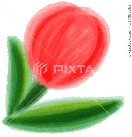 red tulip red tulip 117069262