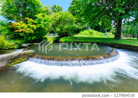 Summer Tsujun Irrigation Waterway Ozasa Circular Diversion, Kamimashiki District, Kumamoto Prefecture 117069530