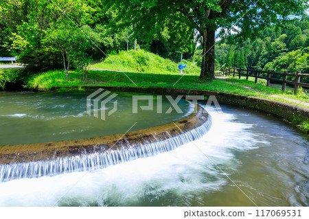 Summer Tsujun Irrigation Waterway Ozasa Circular Diversion, Kamimashiki District, Kumamoto Prefecture 117069531