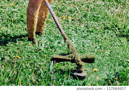 Lawn care expert aims rotating head of string trimmer at weeds. 117069857