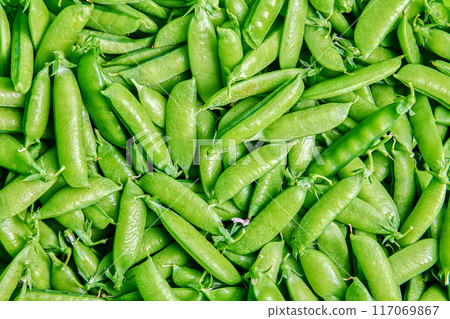 Texture of harvested garden peas on horizontal surface close-up nobody. 117069867