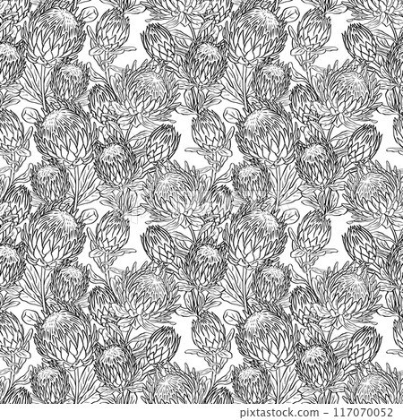 Black and white seamless pattern with line art protea flowers 117070052