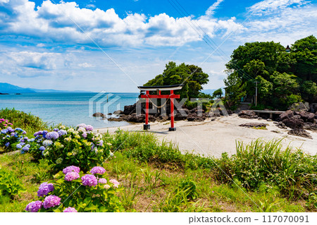 新平天神（菅原神社）的鳥居與繡球花 117070091