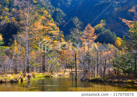 秋天的上高地田代池 117070878