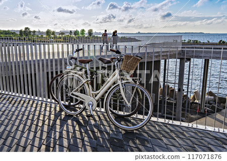 Two vintage bicycles with brown seats and wicker baskets are parked by seaside boardwalk Two vintage bicycles with brown seats and wicker baskets are parked by seaside boardwalk 117071876