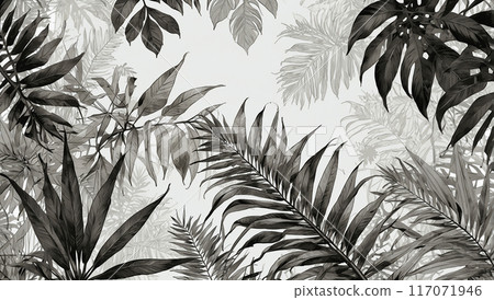 Abstract arrangement of various green tropical leaves on a white background, creating a modern and refreshing botanical design. 117071946