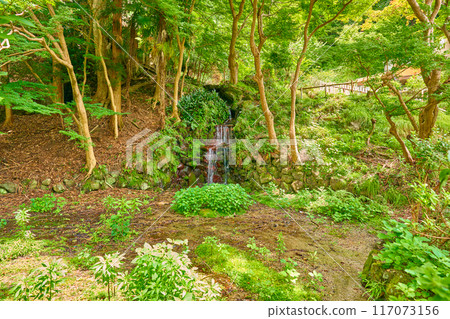 Kyoto Rurikoin 117073156