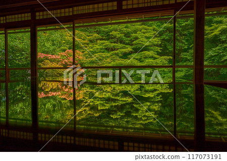 Kyoto Rurikoin 117073191