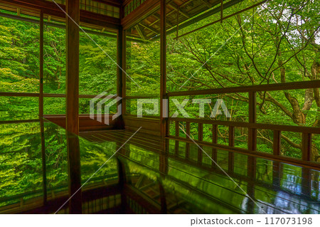 Kyoto Rurikoin 117073198