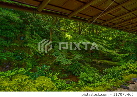 京都琉璃光院 京都琉璃光院 117073465