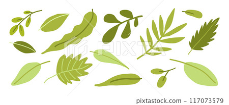 A collection of green leaves in various shapes and shades, illustrated in a flat design style, ideal for botanical and eco-themed projects. A collection of green leaves in various shapes and shades, illustrated in a flat design style, ideal for botanical and eco-themed projects. 117073579