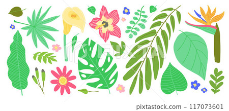 Colorful tropical leaves and flowers illustration, including monstera, palm, and hibiscus elements. 117073601