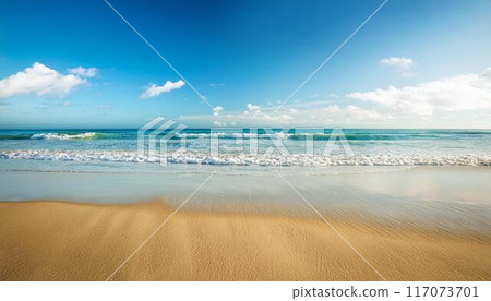 Waves to beat on the sandy beach 117073701