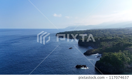 [Aerial view] View of the Izu Peninsula from off the coast of Jogasaki 117074637