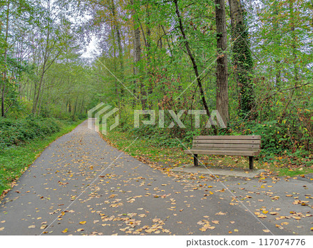 Earlier autumn in the park. Paved pathway with wooden bench on side Earlier autumn in the park. Paved pathway with wooden bench on side 117074776