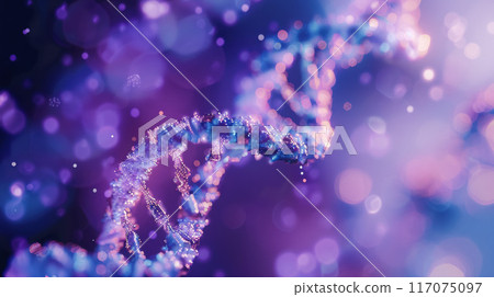 DNA/基因 117075097
