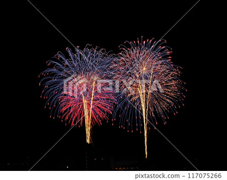 從 JR 相生站新幹線月台看到的 2024 年庇隆煙火大會 117075266