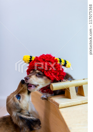 Kaninhen Dachshund Puppies 117075368
