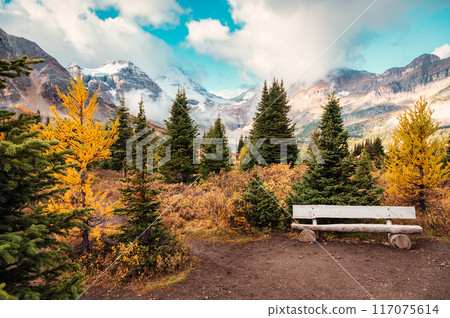 Mount Assiniboine with rocky mountains in autumn wilderness at British columbia, Canada 117075614