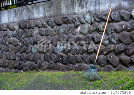 Old cobble stone wall with moss 117075806