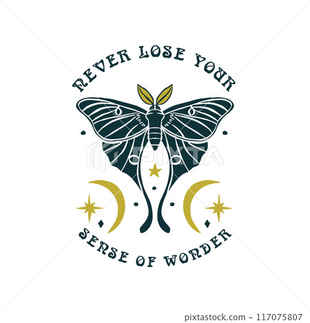 Luna moth hand drawn illustration with inspirational quote Never Lose Your Sense of Wonder 117075807