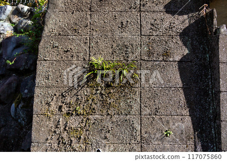 塊體外壁 117075860