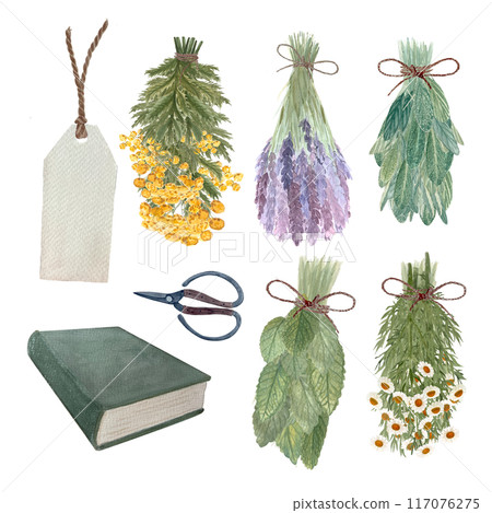 Lavender, chamomile, lemon balm, sage bunches tied with a string, scissors, price tag and a book watercolor set isolated on white. Hand painted art great for flower shop, cards, craft guides 117076275