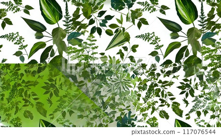 Modern houseplant illustration 117076544