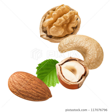 Walnut, cashew, hazelnut and almond nuts isolated on white background Walnut, cashew, hazelnut and almond nuts isolated on white background 117076796