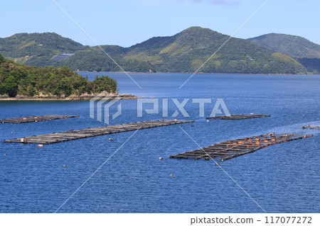 瀨戶內海的養殖漁業 笠戶灣的養殖漁業 瀨戶內海的養殖漁業 笠戶灣的養殖漁業 117077272