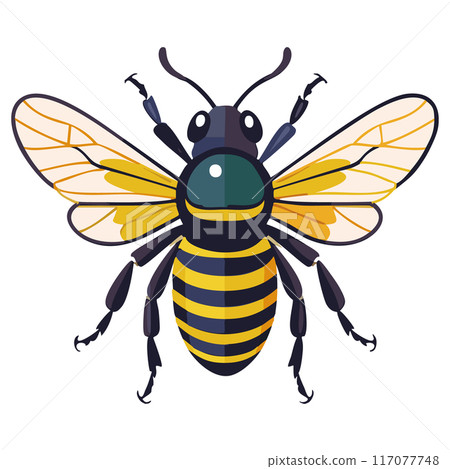 Hachi 真實俯視圖 117077748