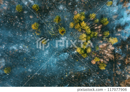 Aerial View. Spring Dry Grass Burns During Drought Hot Weather. Bush Fire And Smoke In Deforestation Zone. Wild Open Fire Destroys Grass. Nature In Danger. Ecological Problem Air Pollution 117077906