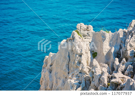 白崎海洋公園 117077937