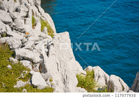 白崎海洋公園 117077938