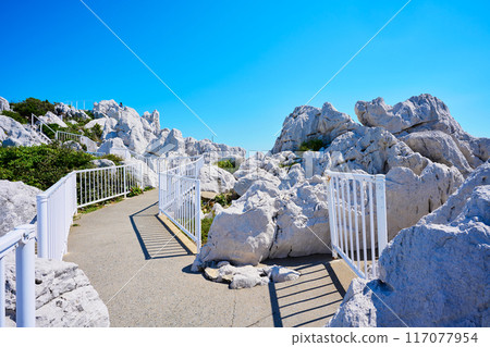 白崎海洋公園 117077954