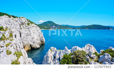 Shirasaki Ocean Park 117077955