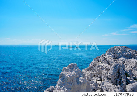 白崎海洋公園 白崎海洋公園 117077956