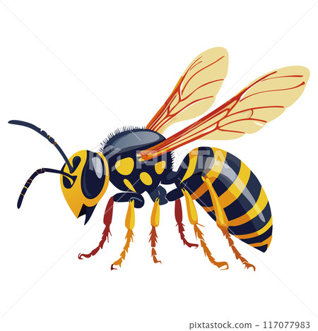 鈴木蜂 鈴木蜂 117077983