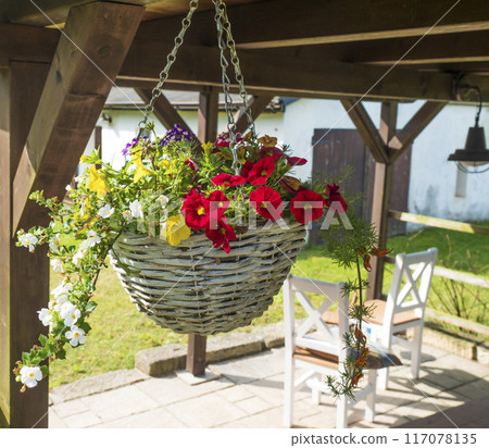 Close up white wicker basket, flower pot with various colorful blooming flowers hanging from wooden roofed pergola or altan. Close up white wicker basket, flower pot with various colorful blooming flowers hanging from wooden roofed pergola or altan. 117078135