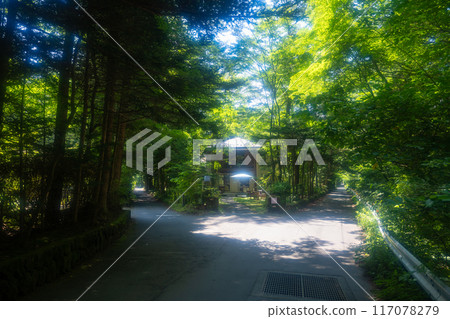 Summer in Old Karuizawa: A villa area surrounded by greenery 117078279