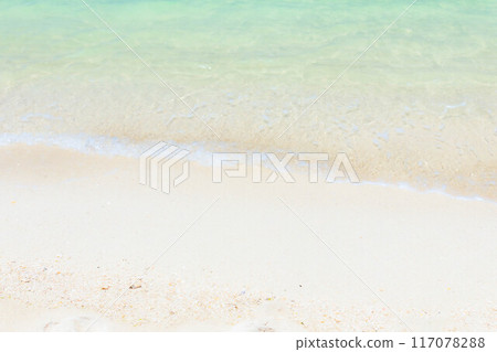 美麗的海灘 117078288