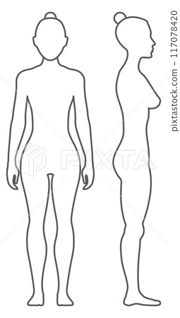 Female body linear shape. Front and side figure 117078420