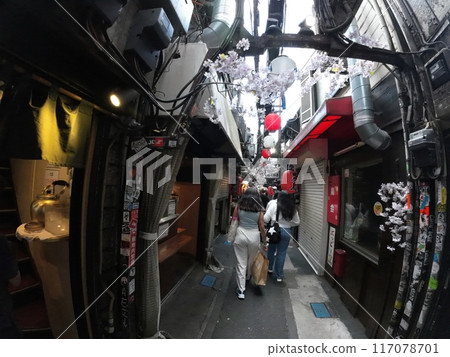Shinjuku Station West Exit Omoide Yokocho Shinjuku Station West Exit Omoide Yokocho 117078701