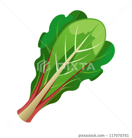 chard vegetable for cooking meals. A bright element isolated on white for design. chard vegetable for cooking meals. A bright element isolated on white for design. 117078781