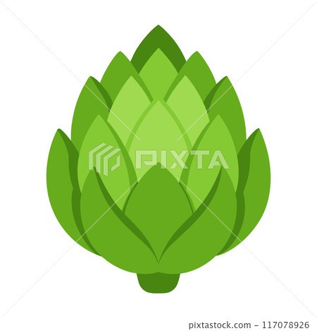 artichoke vegetable for cooking meals. A bright element isolated on white for design.  117078926