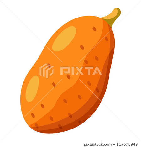 yam, sweet potato vegetable. A bright element isolated on white for design.  117078949
