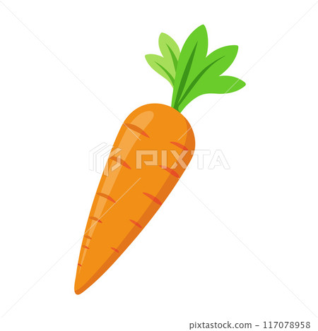 carrot vegetable for cooking meals. A bright element isolated on white for design.  117078958